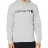 Carhartt Men's Force Delmont Signature Graphic Hooded Sweatshirt
