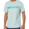 Carhartt Force Relaxed Fit Midweight Short Sleeve Block Logo Graphic T-Shirt